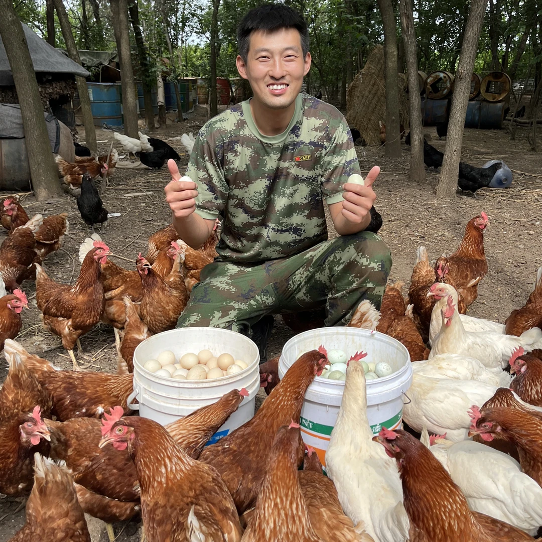 顺丰包邮农村散养粉壳绿壳土鸡蛋混合40枚杂粮中药喂养无抗无色