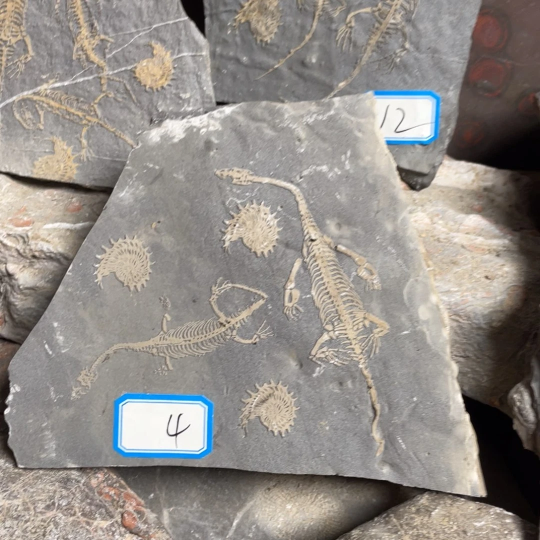 石材444444444444444444444