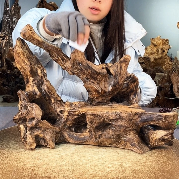 茶盏小***乐555株木的随行的根艺