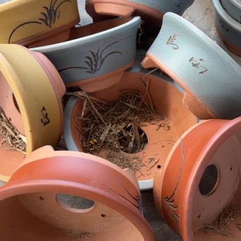 紫砂花盆100-8。    22-9