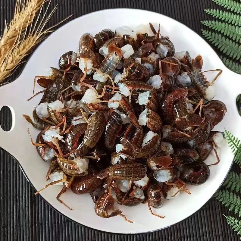 《乡村文自营品》【送调料】清水小龙虾虾尾2包/3包