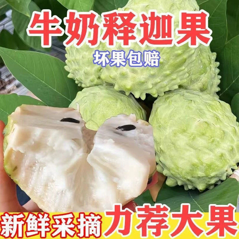 大果释迦果凤梨新鲜热带水果现摘现发香甜佛头果