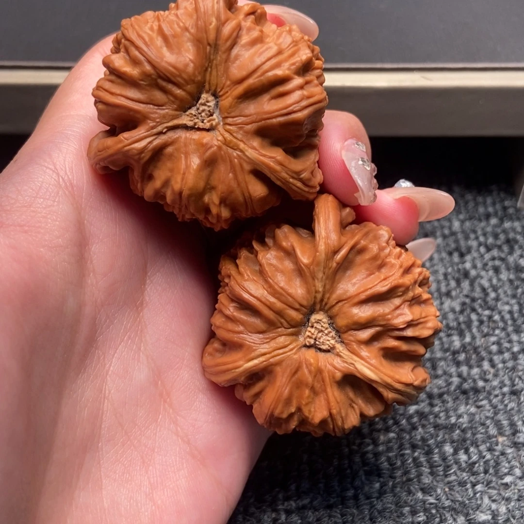 心***方木质类白狮子正奔