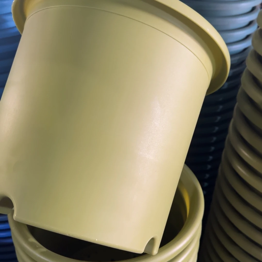 树脂特价6#无拖果绿7个