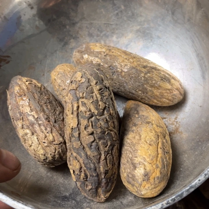 千眼菩提吊坠千眼菩提二十五号。