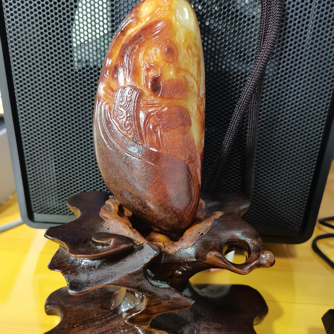 石包多样性拍一发一12月28日 A7