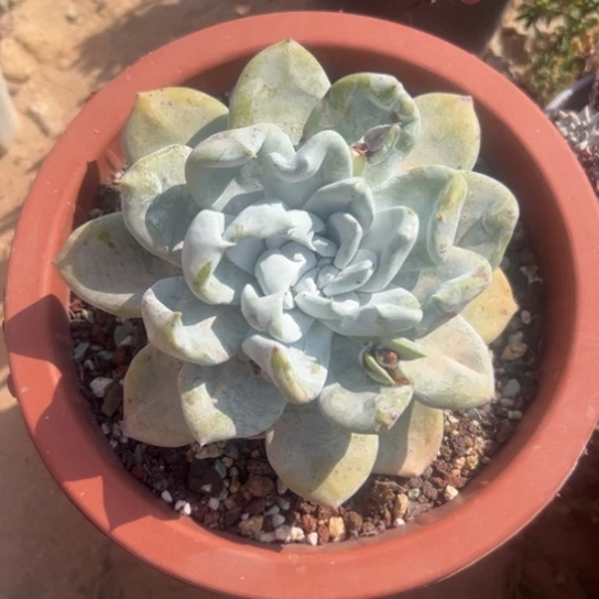 用****4谢谢姐姐～一物一拍就660