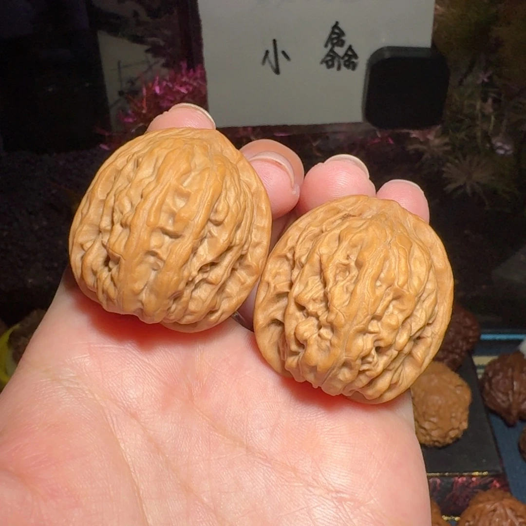 1165号34胭脂野生文玩核桃