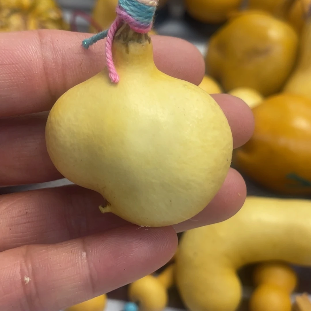 那***她葫芦哈哈哈哈哈哈哈哈哈哈