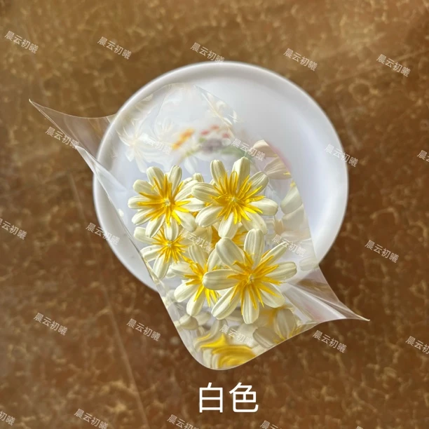 永生花  干花手工花 大花心瓜子花  插花点缀