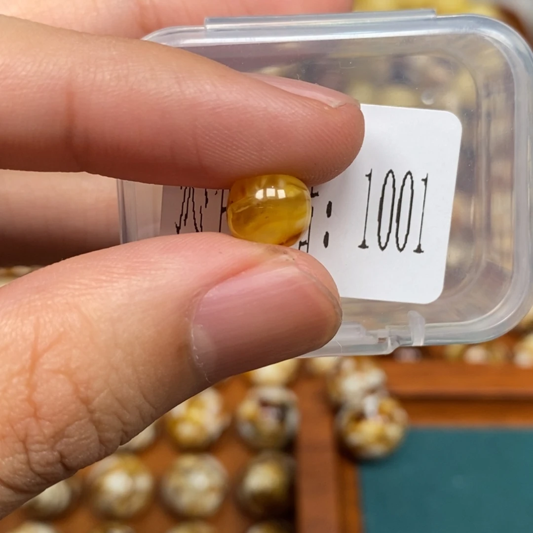 沁色蜜蜡未镶嵌1001