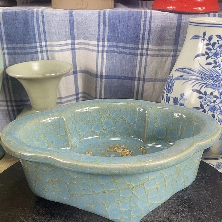 陶泽如花儿盛开了