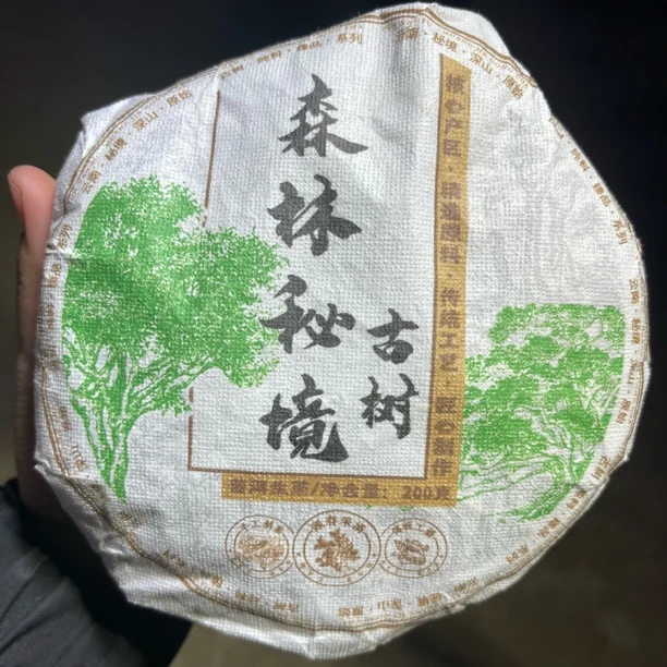 2024年东来森林古树春茶 1月20【27号】