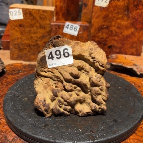 大果紫檀（缅甸花梨）