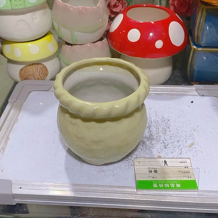 摆件多肉瑕疵盆有孔。