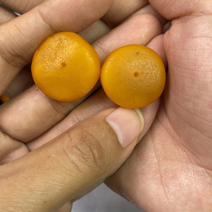 琥珀珠宝奇石未镶嵌多样性发其一