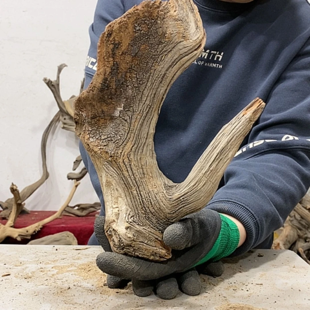 【闪购商品】柏木叶*我们都是好孩子