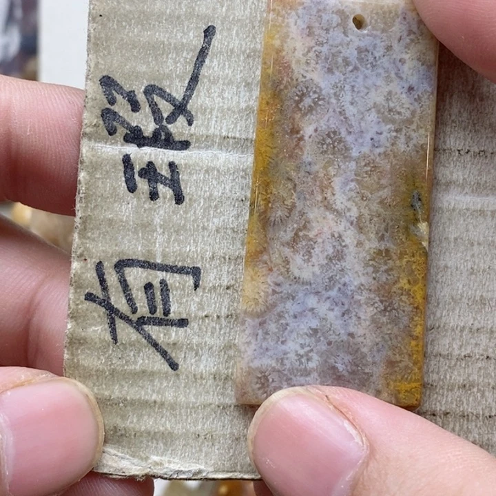 硅化珊瑚（珊瑚玉）未镶嵌颈饰塞***岸