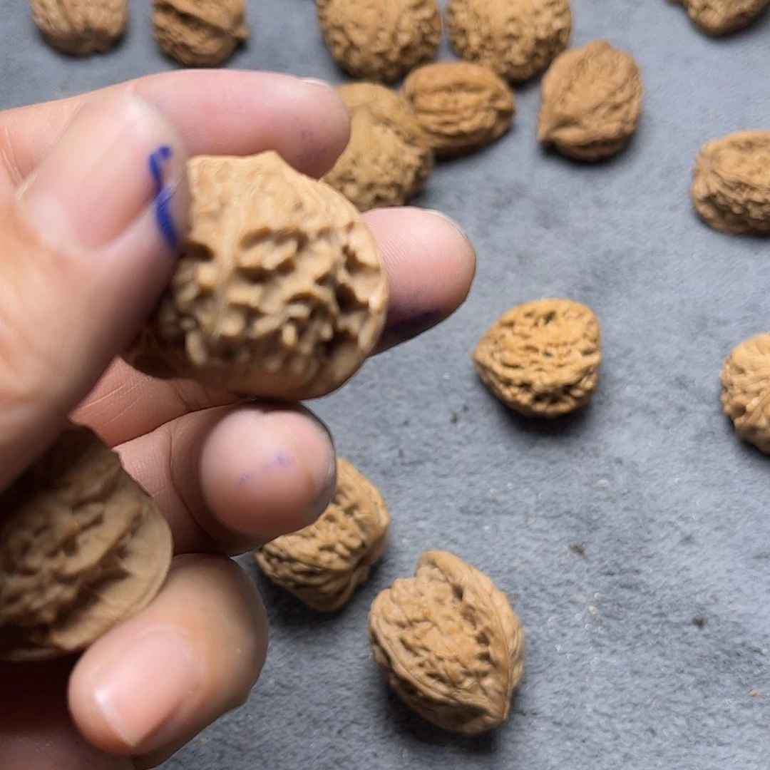 文玩核桃手串金***鱼ye s野生