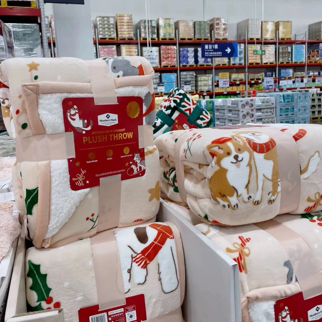 ZQ飞行毯羊羔绒贵妃加厚午睡空调毯加绒午睡毯 不挑颜色