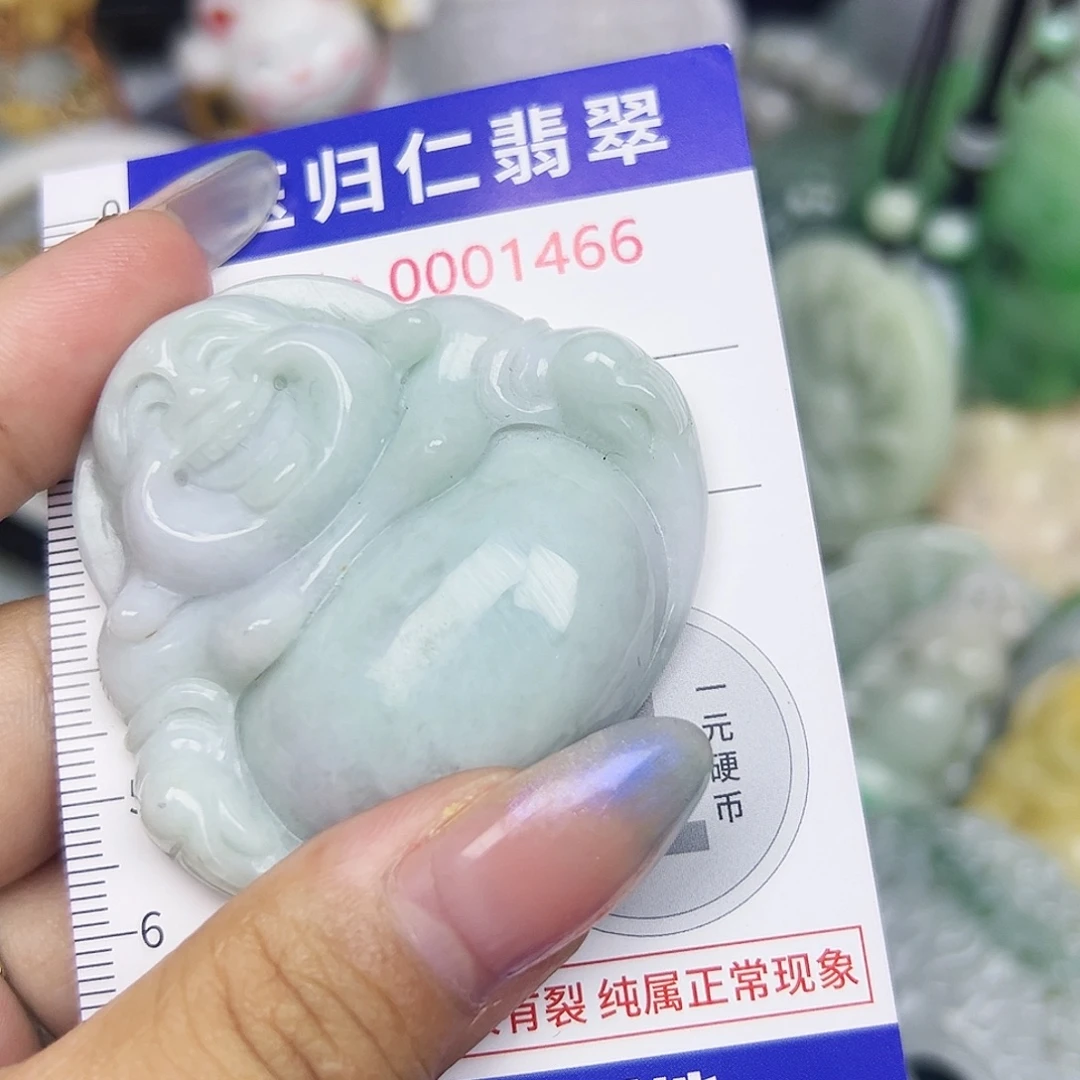 翡翠未镶嵌吊坠(不含链)111