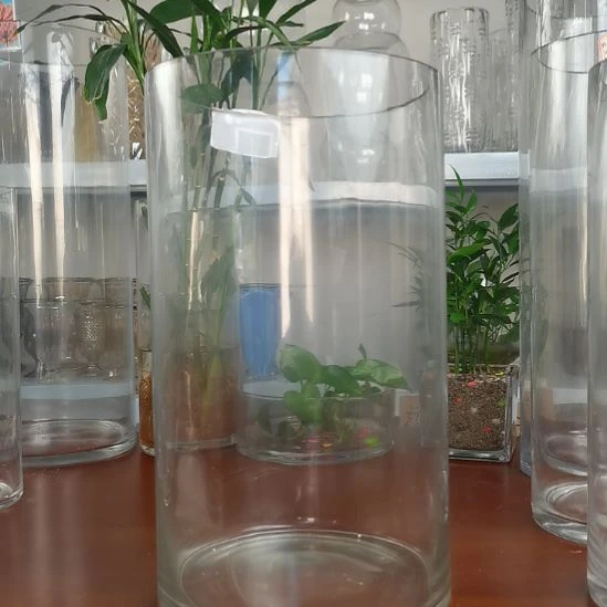玻璃昌达玻璃直筒高度35口径20