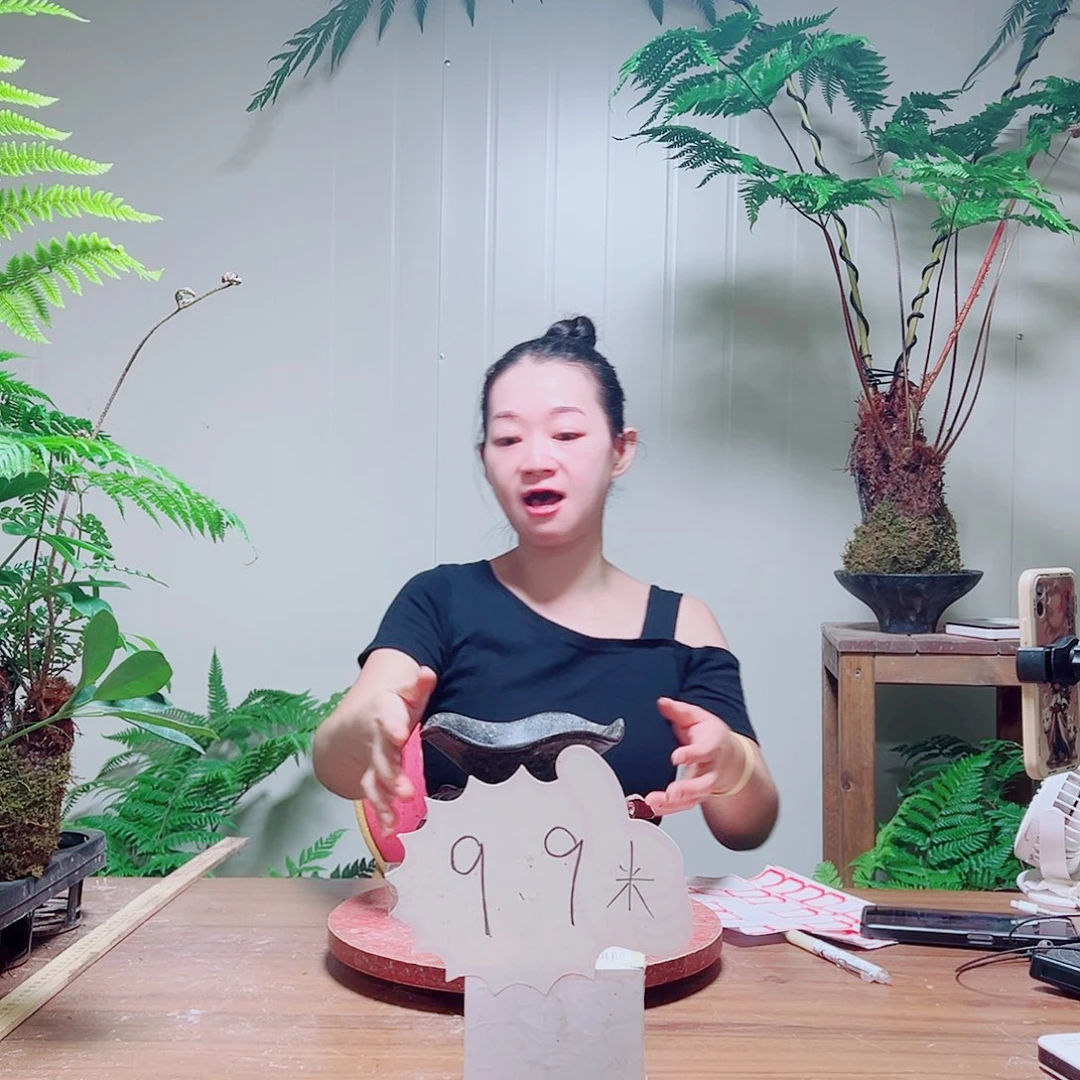无花朵三**想金丝虹鳞蕨