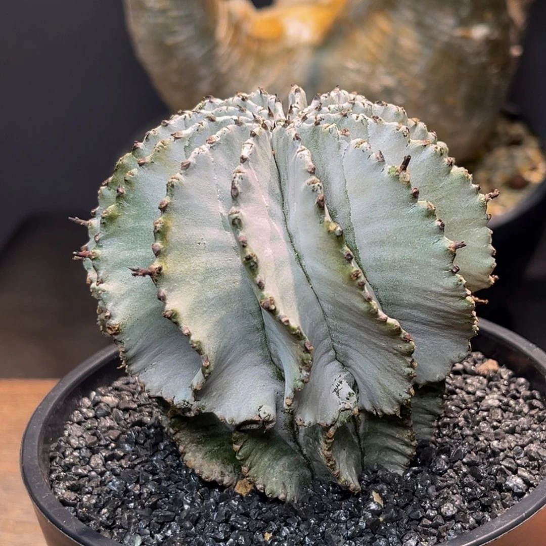 白依Zzzzzzzzzzzzzzzzz