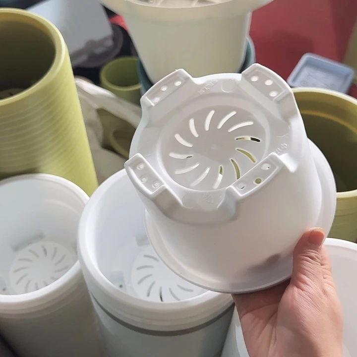 球根17口径10个无托白色