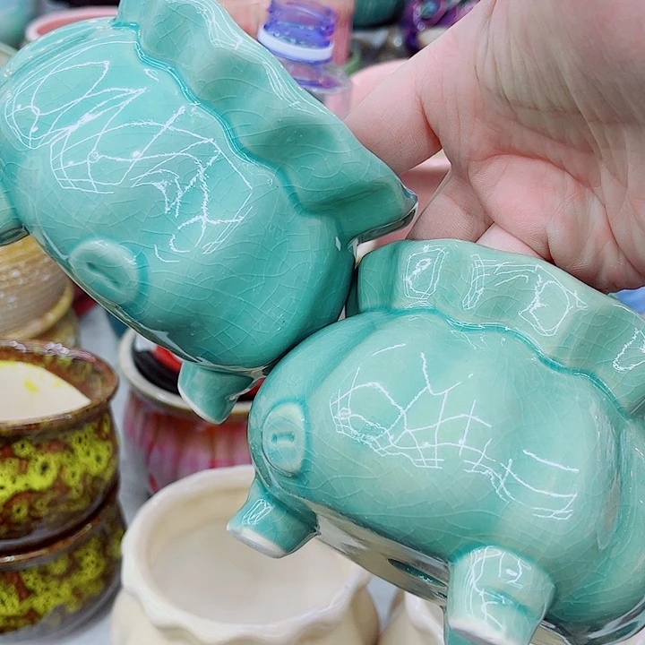 多肉植物陶瓷花盆