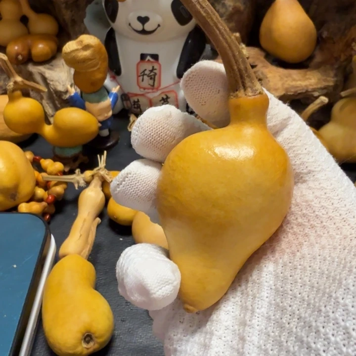 晓***秋66……………………………………