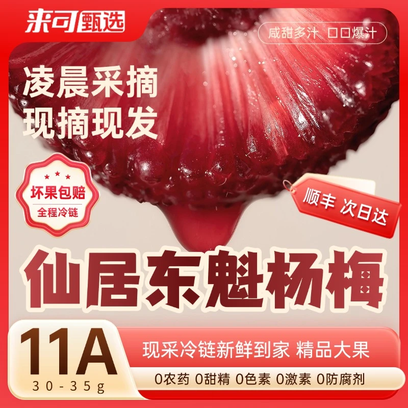 【正宗仙居东魁杨梅】【11A王中王果】新鲜采颗颗精选顺丰冷链次日达新鲜杨梅浙江省