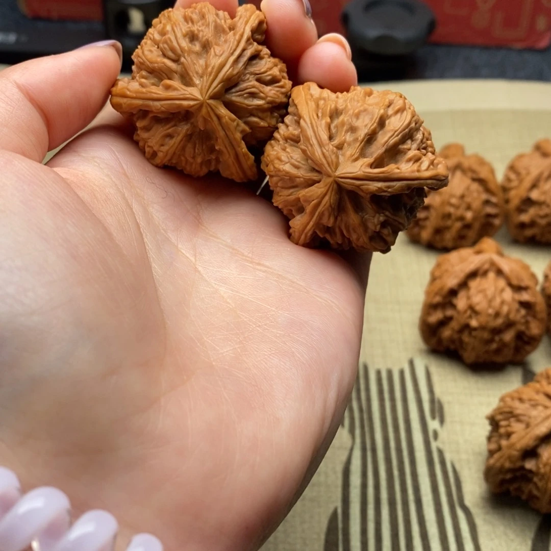 山*?白狮子1111111111