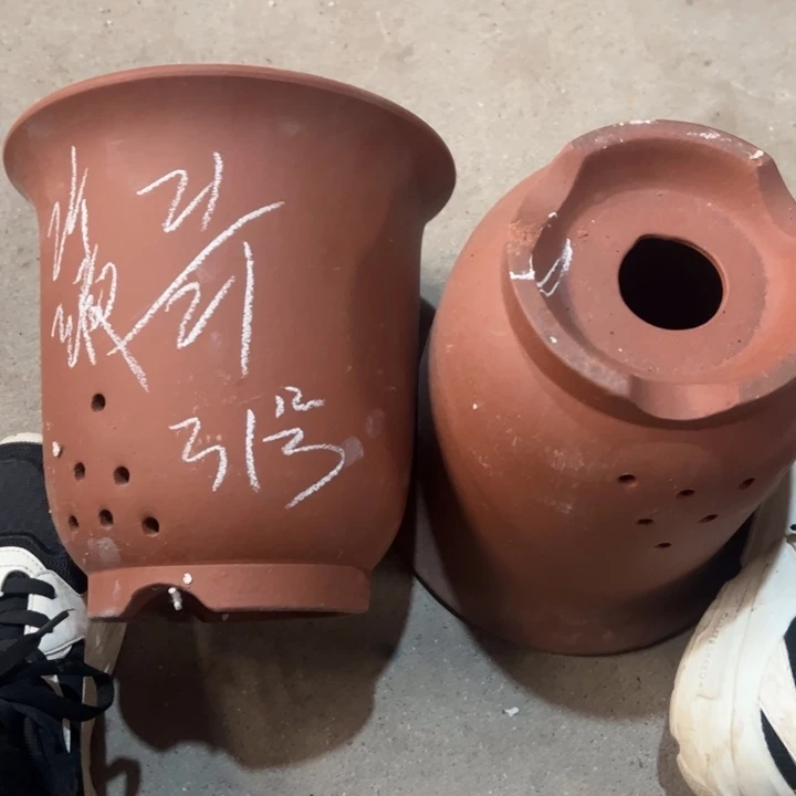 31………………………………………………亲嘴