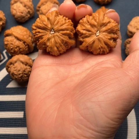 橄榄核手串/手链水**孩文山37