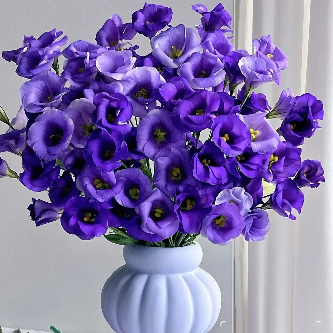 【新疆鲜花次日达】深紫色洋桔梗400g装-花鲜达家居养花新疆生活鲜花全场两单包邮顺丰送货上门今天拍明天到