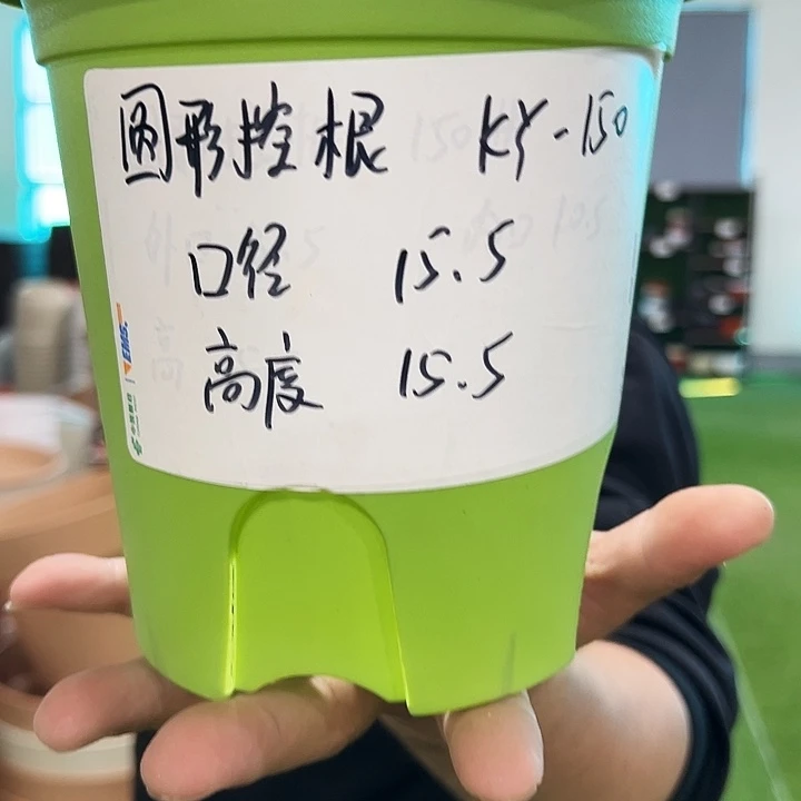正品圆控口15高15果绿色10只带托