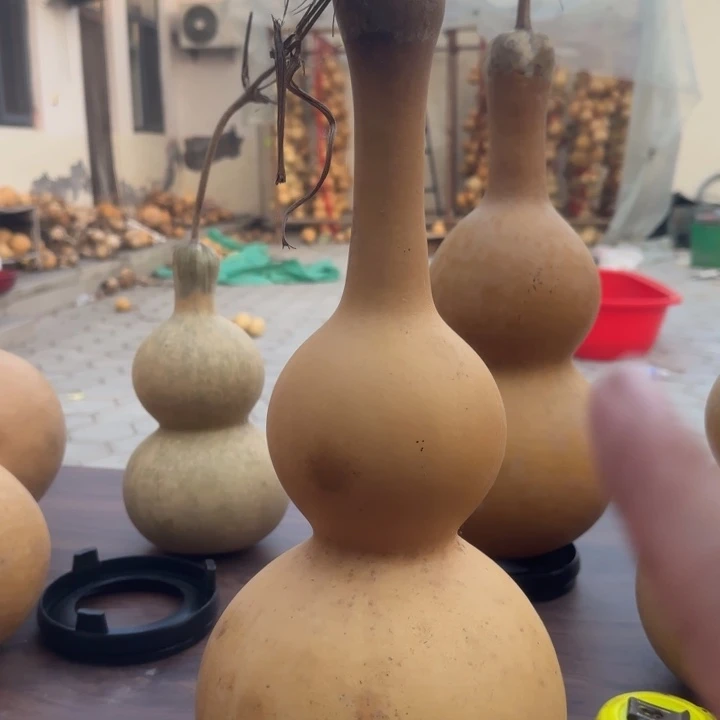 咕噜咕噜咕噜咕噜咕噜