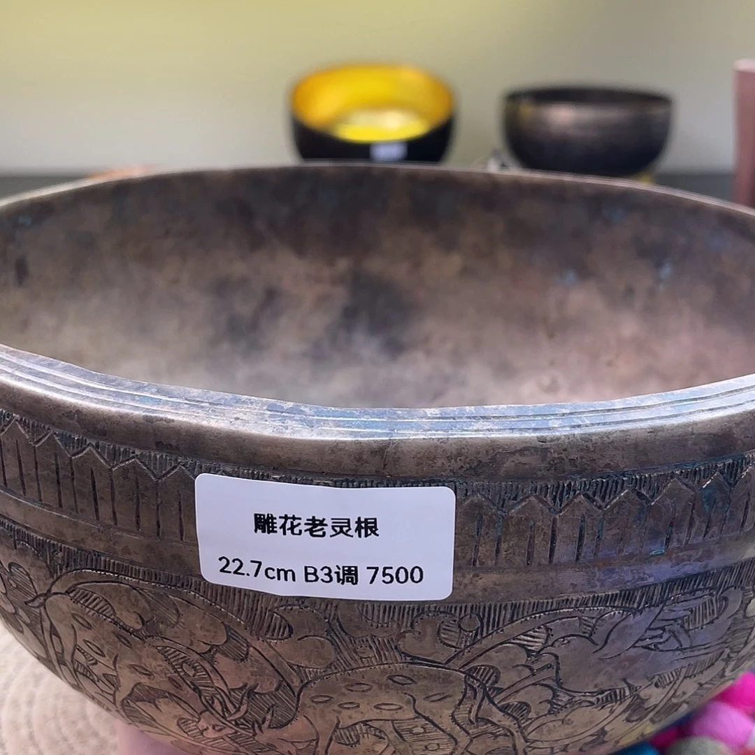 与***浪颂钵1111111111111111