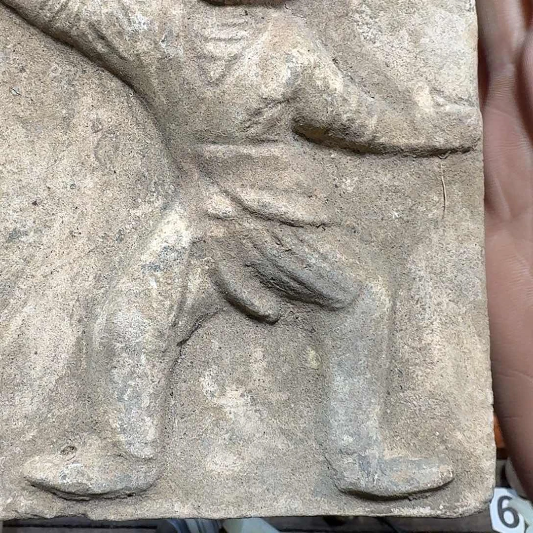 瓷片九****翅1111111111