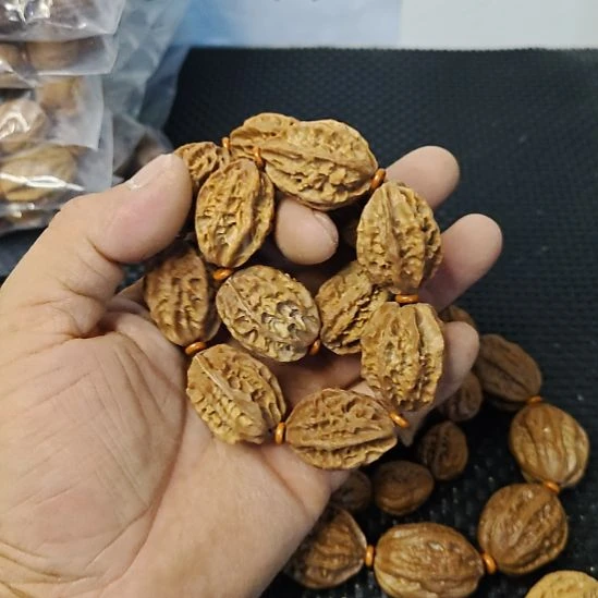 木质类纯野生山核桃     9