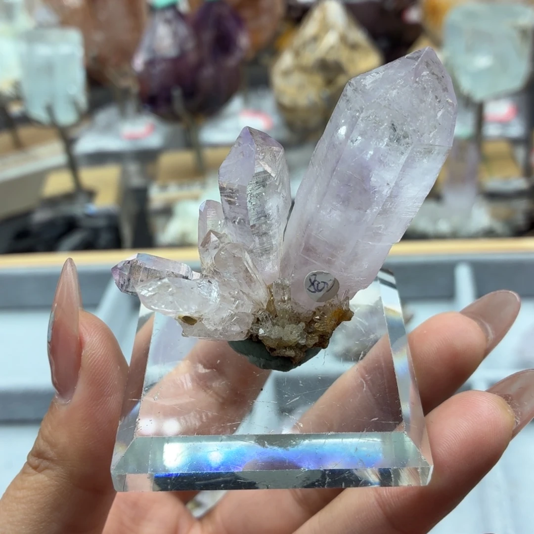 有机玻璃聪聪克鲁兹