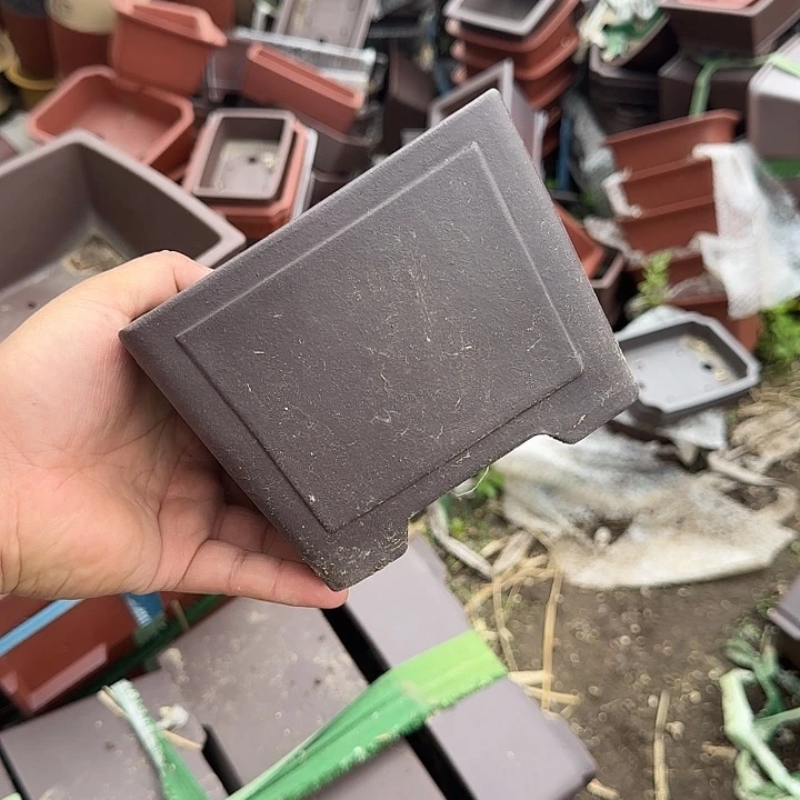 这几句真的好好哭一整集