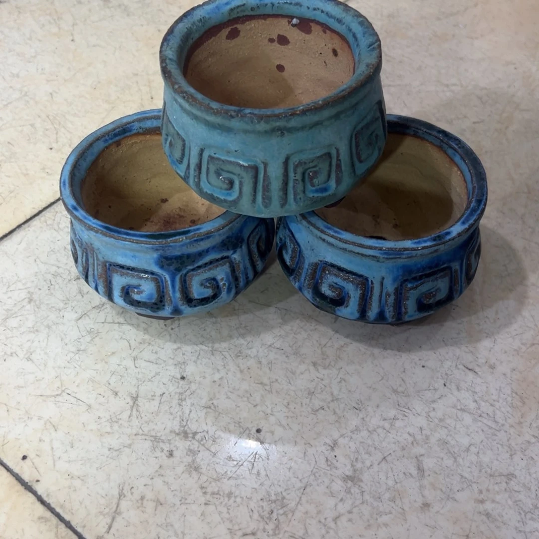 红陶燕***肉尚雅多肉花盆