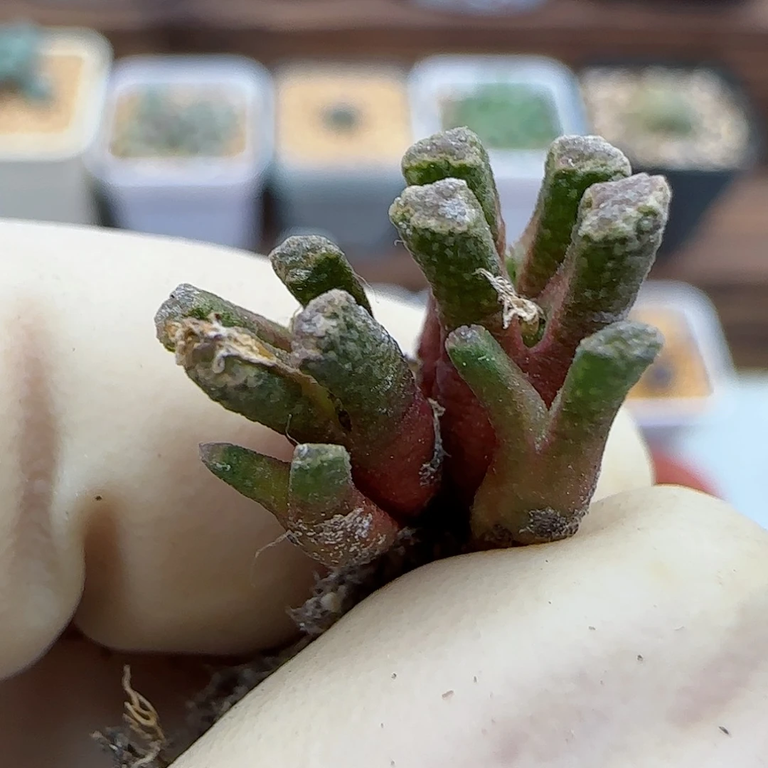 795福利福利福利