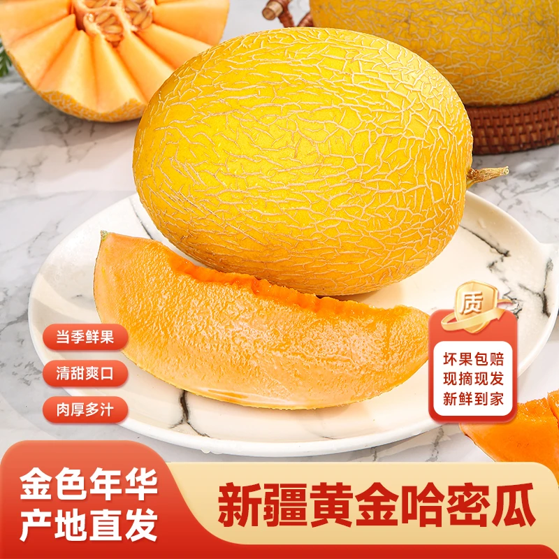 【新疆空运直发】金色年华哈密瓜当季新鲜脆甜多汁水果
