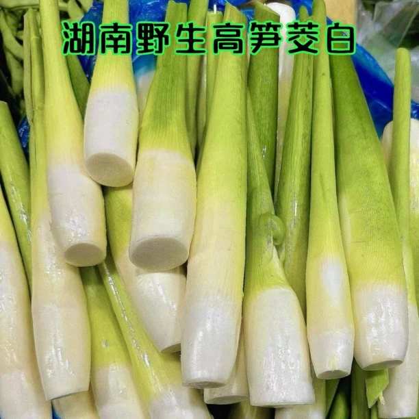 湖南新鲜茭白冬笋鲜嫩蔬菜营养丰富高笋产地直摘新鲜到家