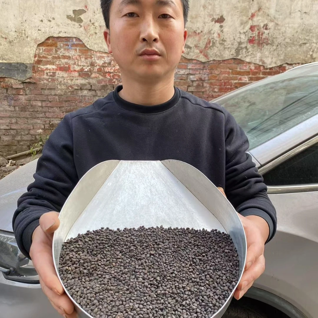黑丑 河南野生黑丑牵牛花喇叭花籽农家货