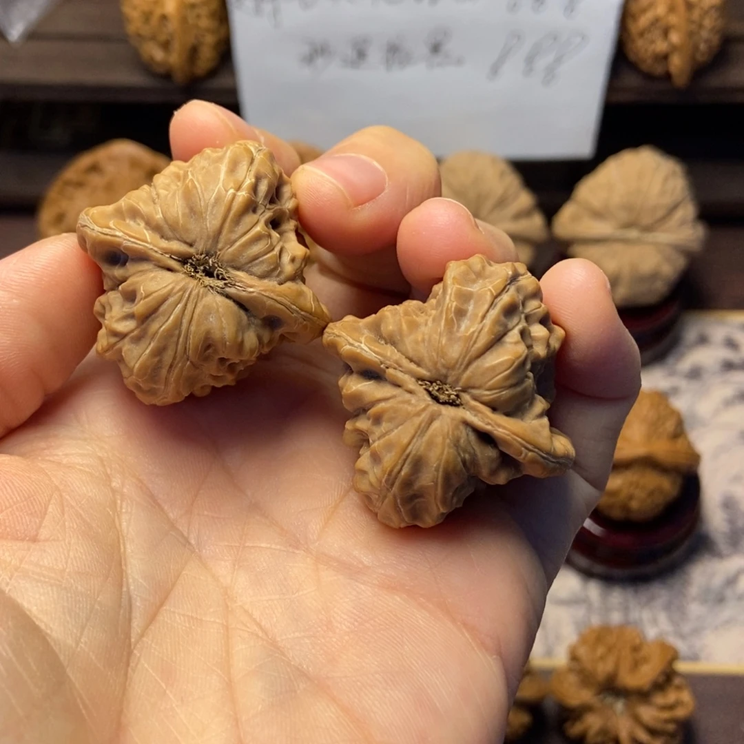 D***_文玩核桃把件白蛇骨尺寸35