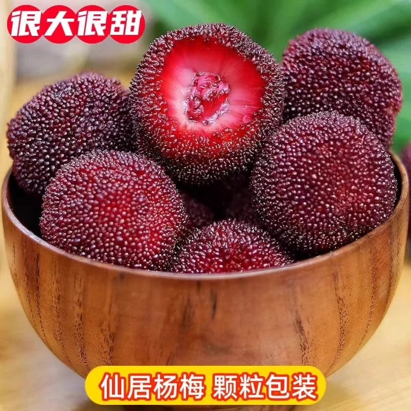 正宗仙居荸荠杨梅新鲜现摘当季孕妇水果产地直发顺丰冷链礼盒装